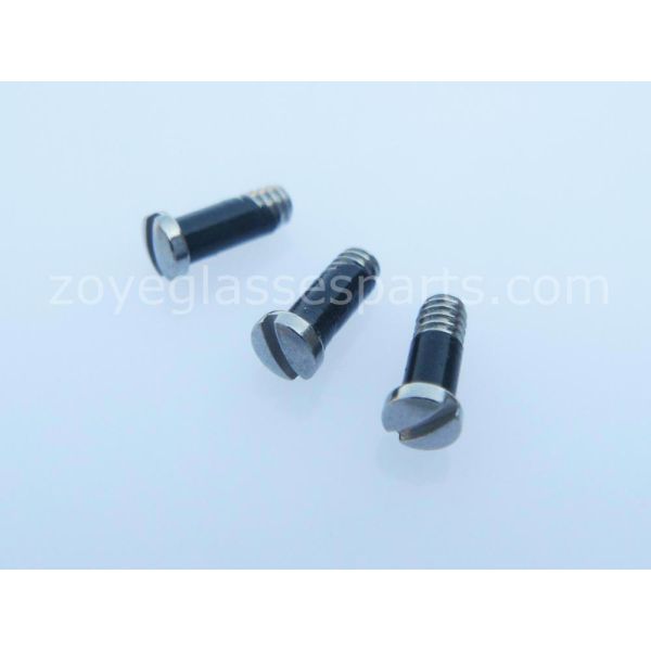 Eyeglass screws online